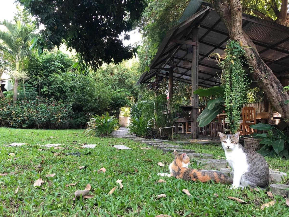 Lanna House Lanna Hut Chiangmai Bed & Breakfast เชียงใหม่ ภายนอก รูปภาพ